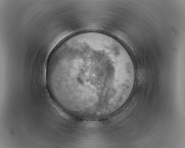 X0000113310886200910051102