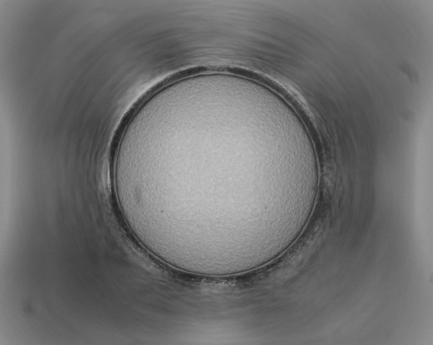 X0000113310887200910051102