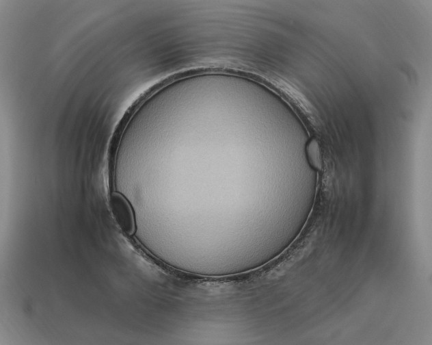 X0000113310888200910051102