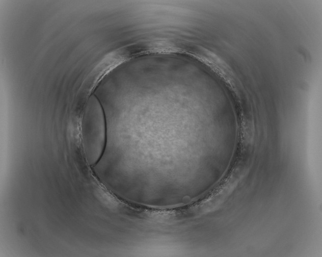 X0000113310889200910051101