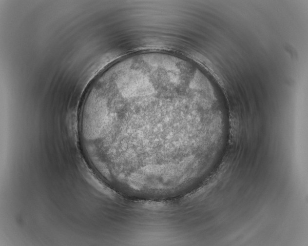 X0000113310890200910051101