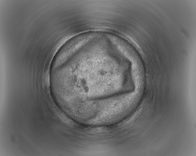 X0000113310891200910051101