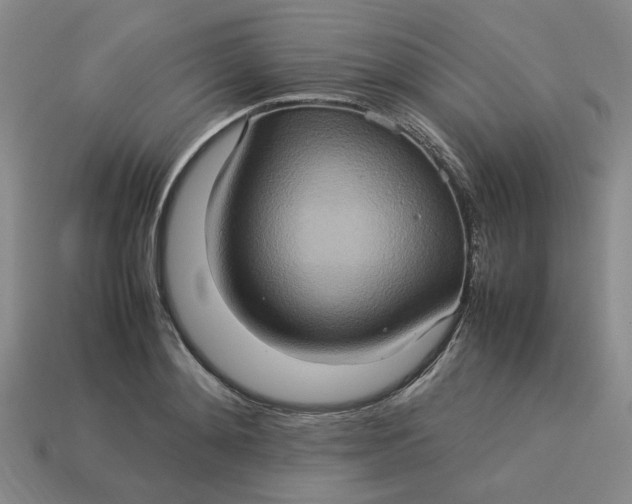 X0000113310892200910051101