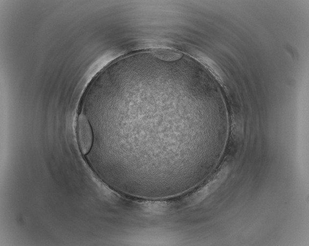 X0000113310893200910051101