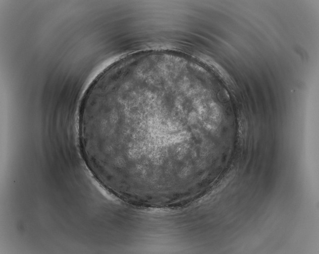 X0000113310894200910051101