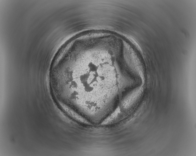 X0000113310895200910051101