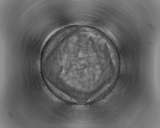 X0000113310896200910051101