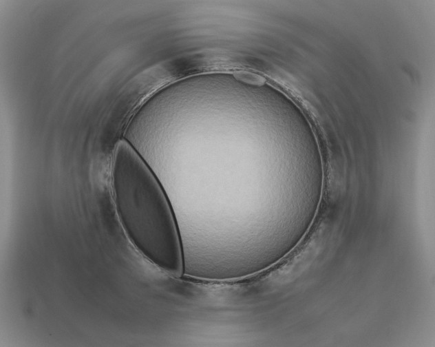 X0000113310897200910051101