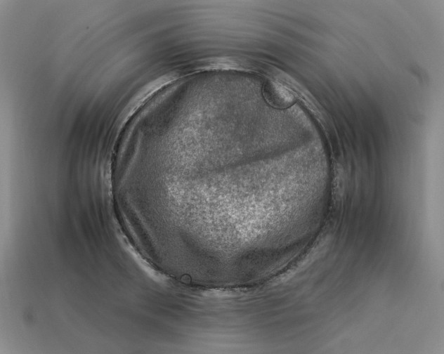 X0000113310898200910051101