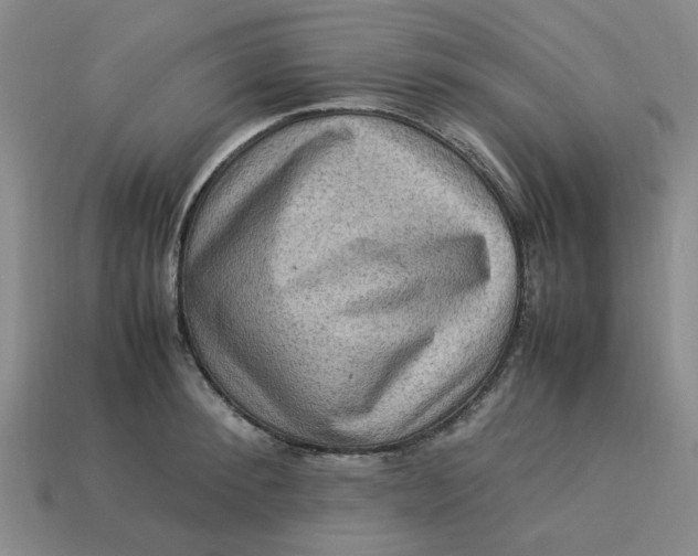 X0000113310900200910051101