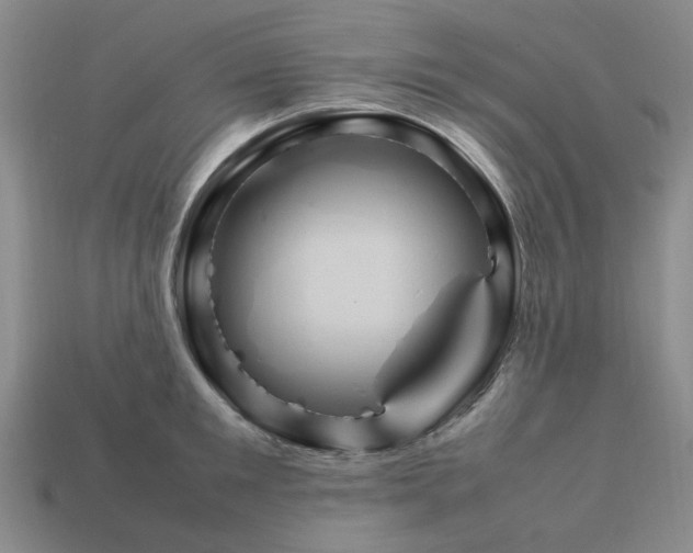 X0000113310901200910051101