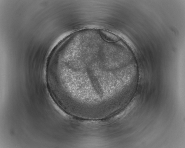 X0000113310902200910051101