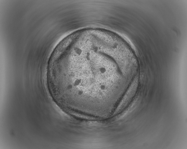 X0000113310903200910051101