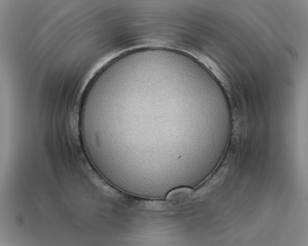 X0000113310904200910051101