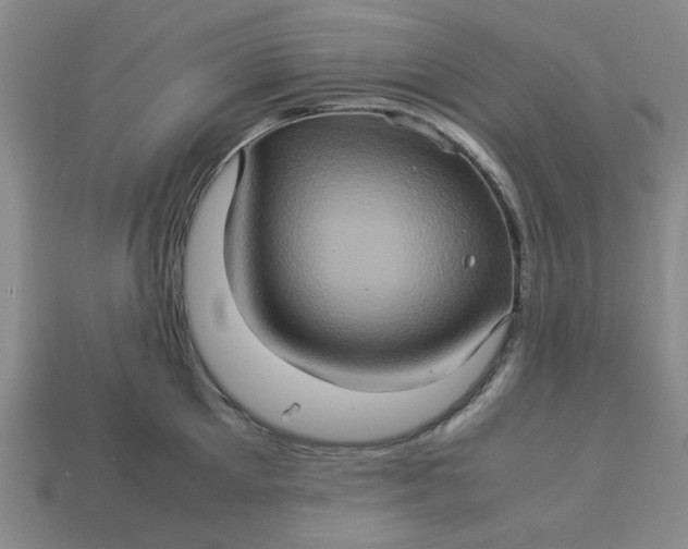 X0000113310905200910051101