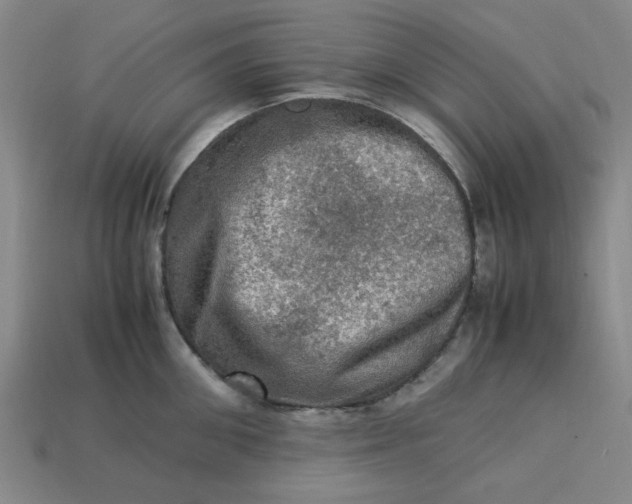 X0000113310906200910051101