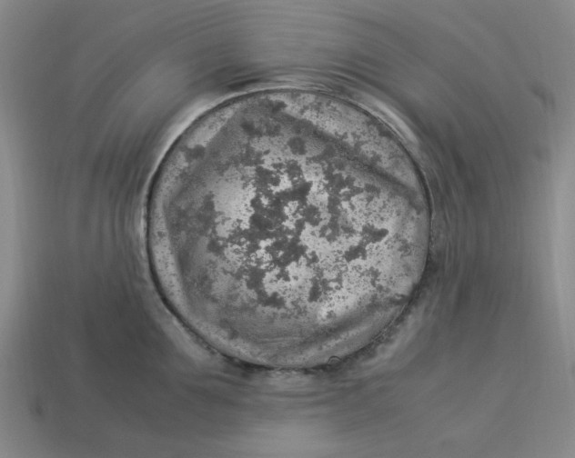 X0000113310907200910051101