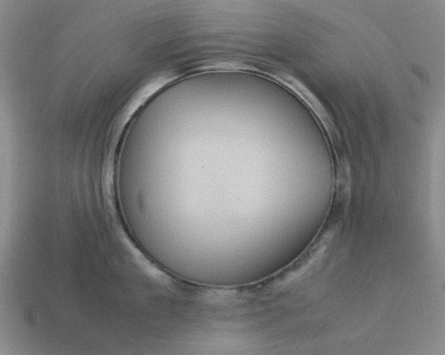 X0000113310909200910051101