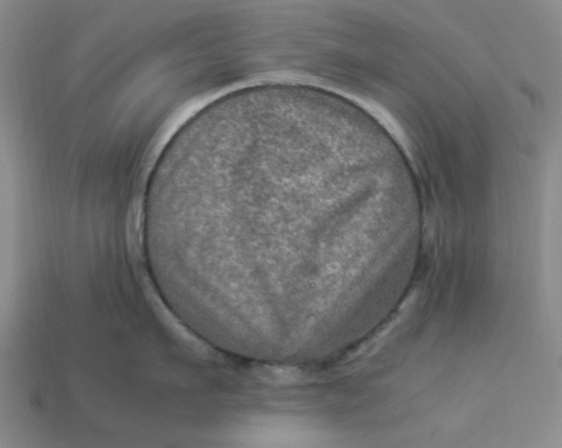 X0000113310911200910051101