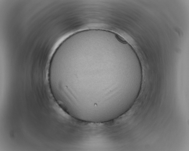 X0000113310912200910051101