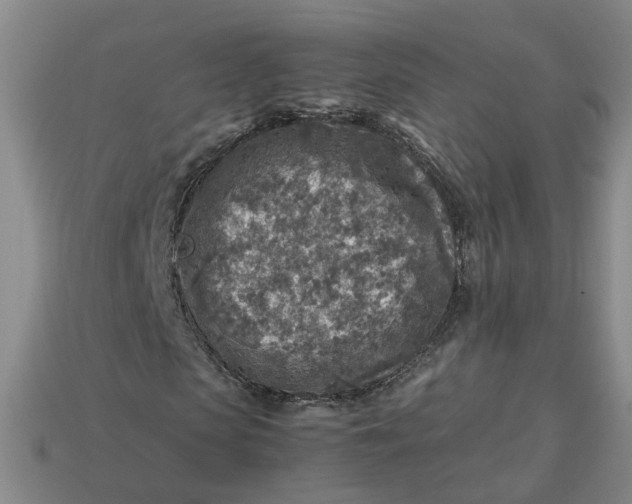 X0000113310913200910051100