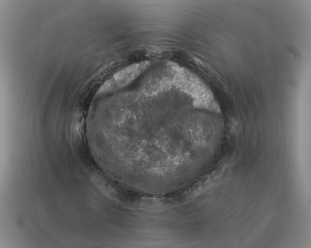 X0000113310914200910051100