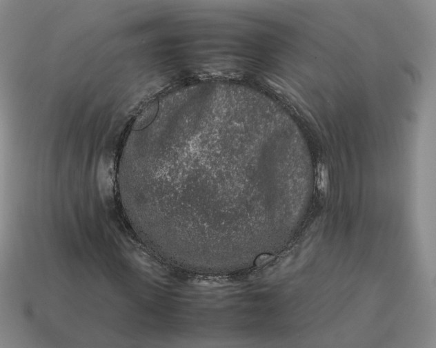 X0000113310915200910051100