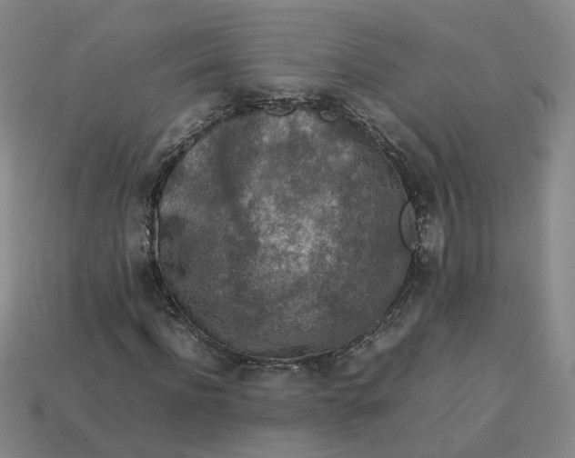 X0000113310916200910051100