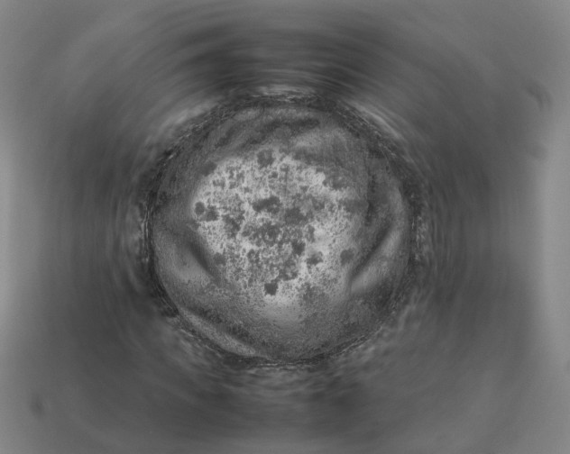 X0000113310917200910051100