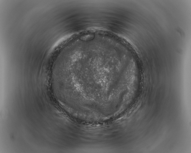 X0000113310919200910051100