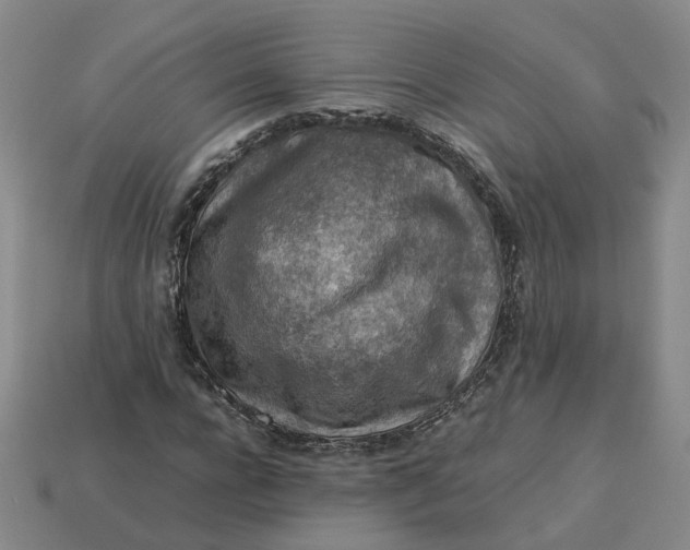 X0000113310920200910051100