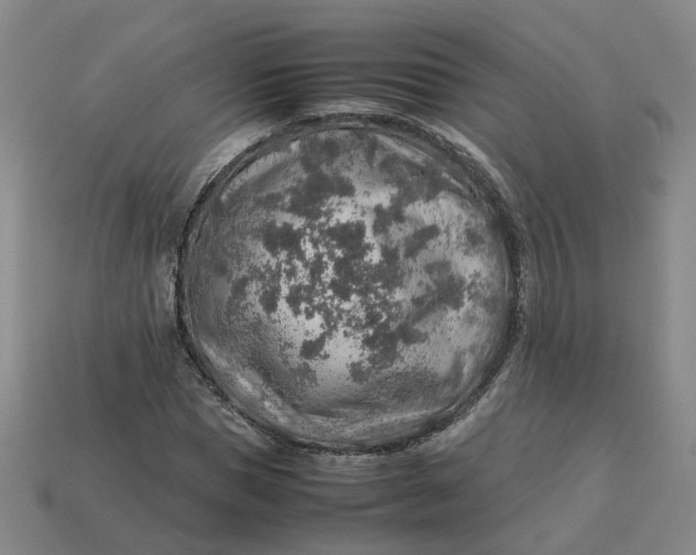 X0000113310921200910051100