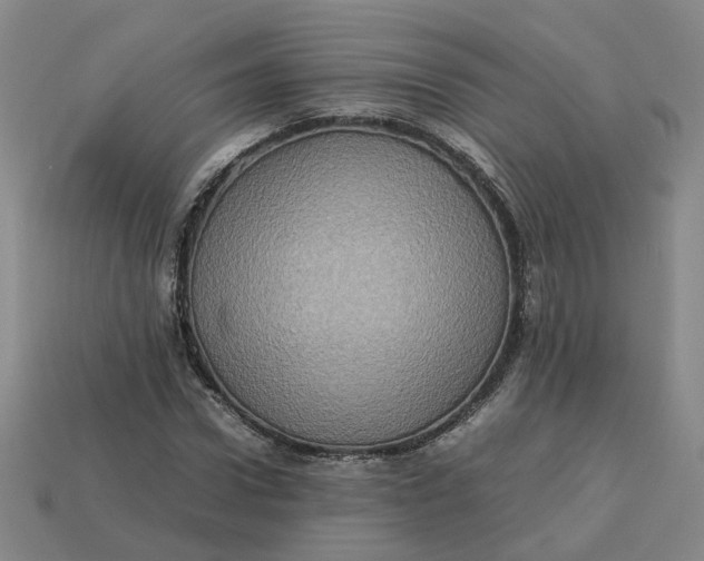 X0000113310922200910051100