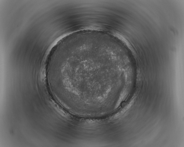 X0000113310923200910051100