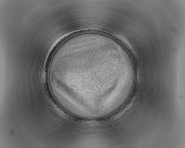 X0000113310924200910051100