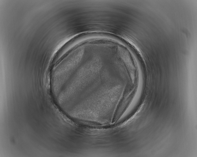 X0000113310925200910051100