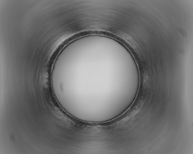 X0000113310926200910051100