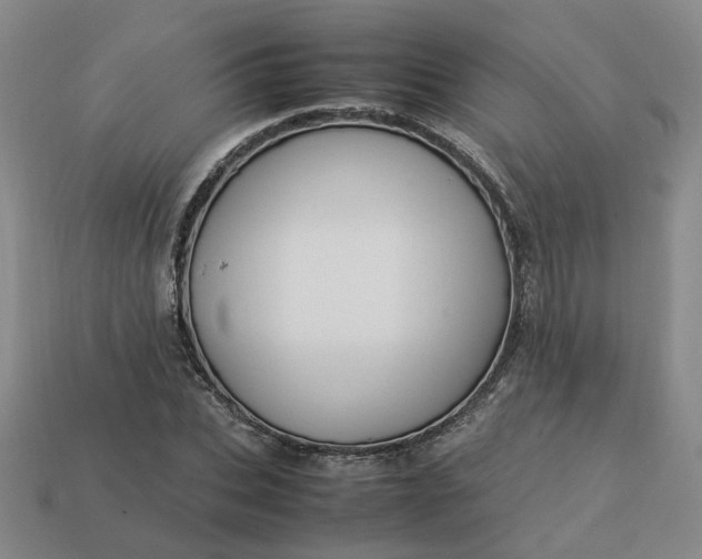 X0000113310927200910051100