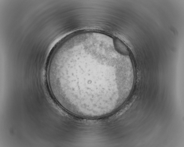 X0000113310928200910051100