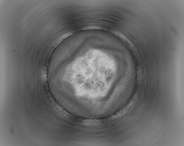 X0000113310929200910051100