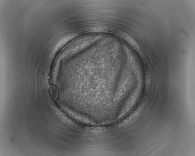 X0000113310930200910051100