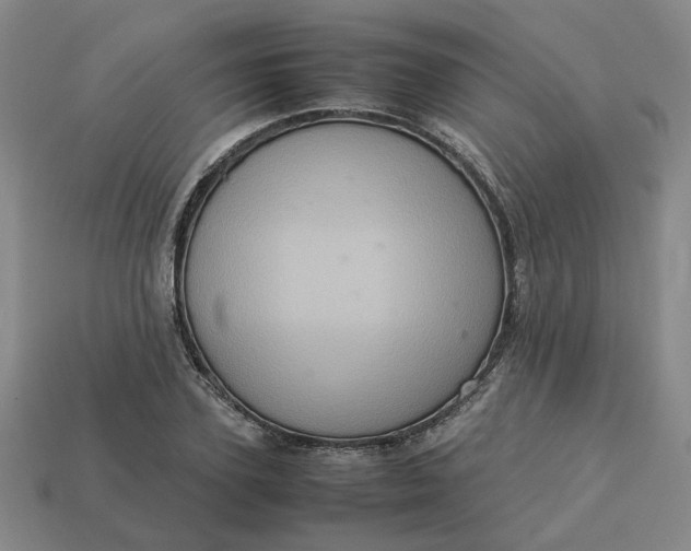 X0000113310931200910051100