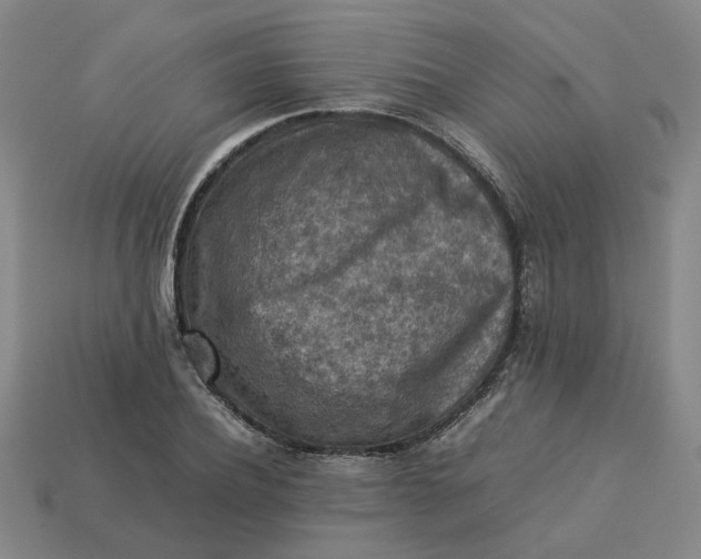 X0000113310932200910051100