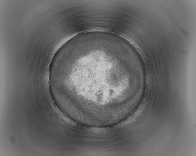 X0000113310933200910051100