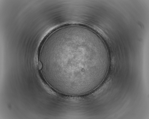 X0000113310934200910051100