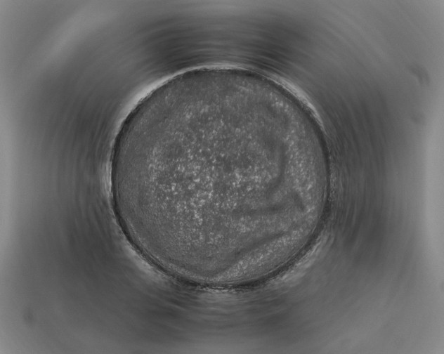 X0000113310935200910051100