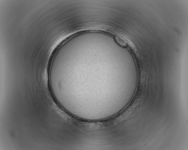 X0000113310936200910051100