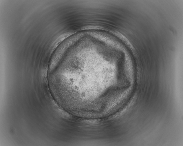 X0000113310937200910051100