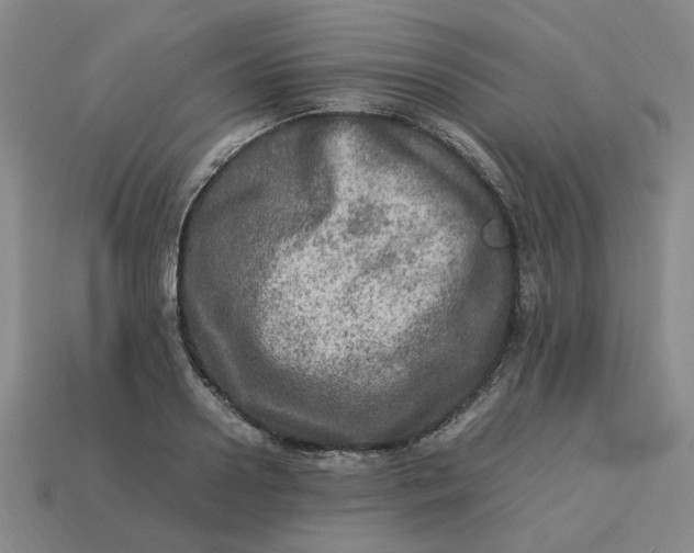 X0000113310938200910051100