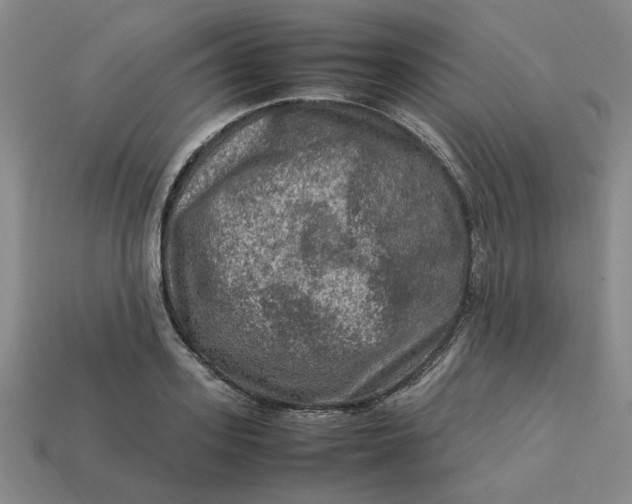 X0000113310939200910051100